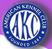 American Kennel Club