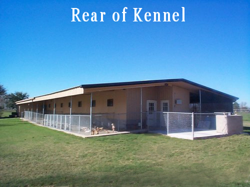 Kennel