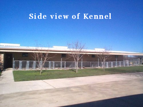 Kennel
