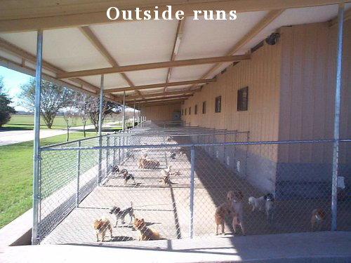 Kennel