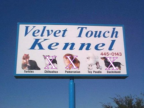 Kennel